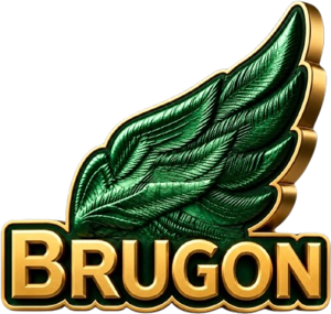 Brugon Services Limited logo